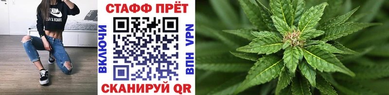 A PVP Кедровый