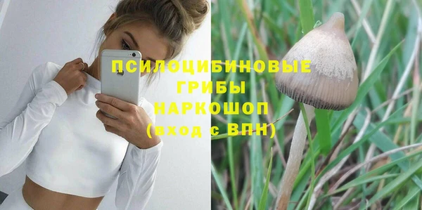 spice Михайловск