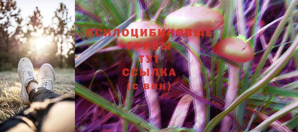 шишки Наволоки